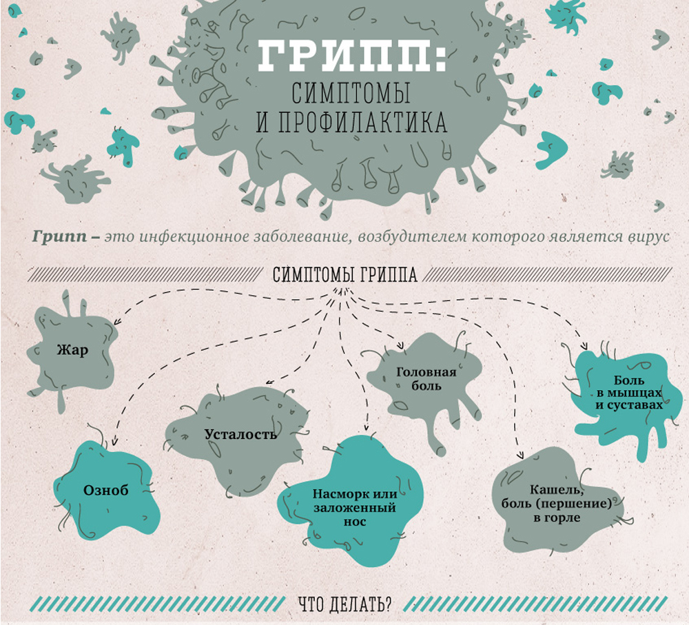 Что такое грипп и какова его опасность? - Новости